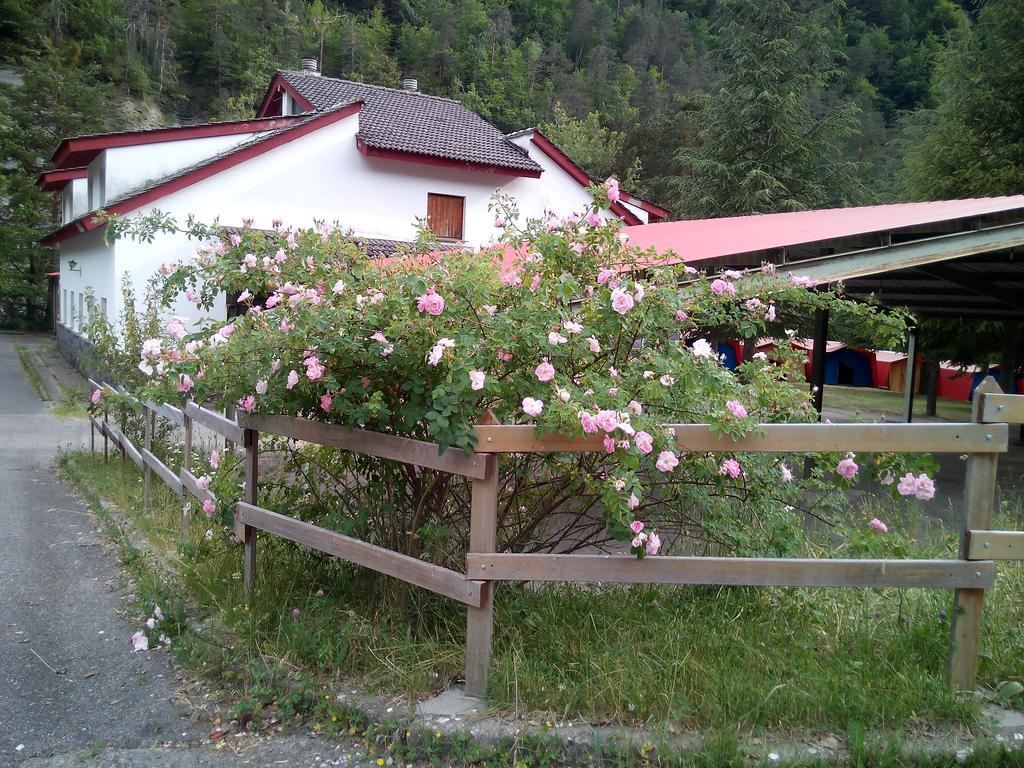 Hotel El Chate Sarvisé Exterior foto